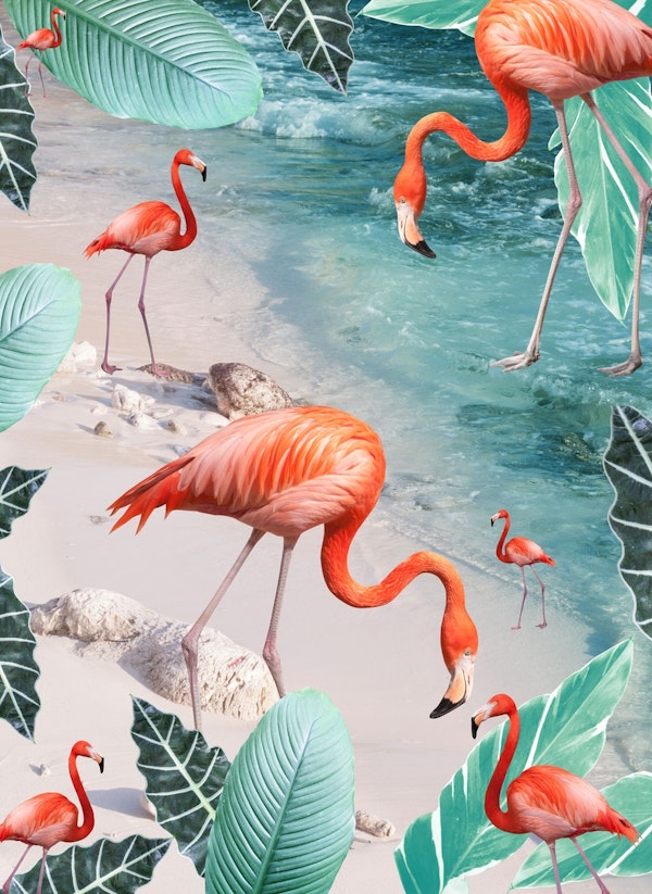Caribbean Flamingo Dream 1