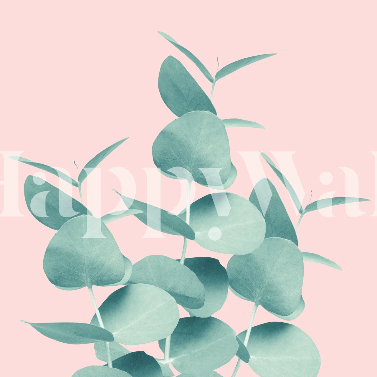 Eucalyptus leaves on a light pink background wallpaper