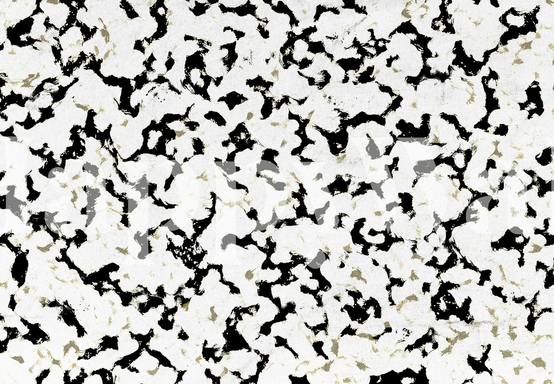 Abstract black and white wallpaper with dynamic brush strokes