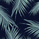 Navy Blue Palm Leaves Dream 1