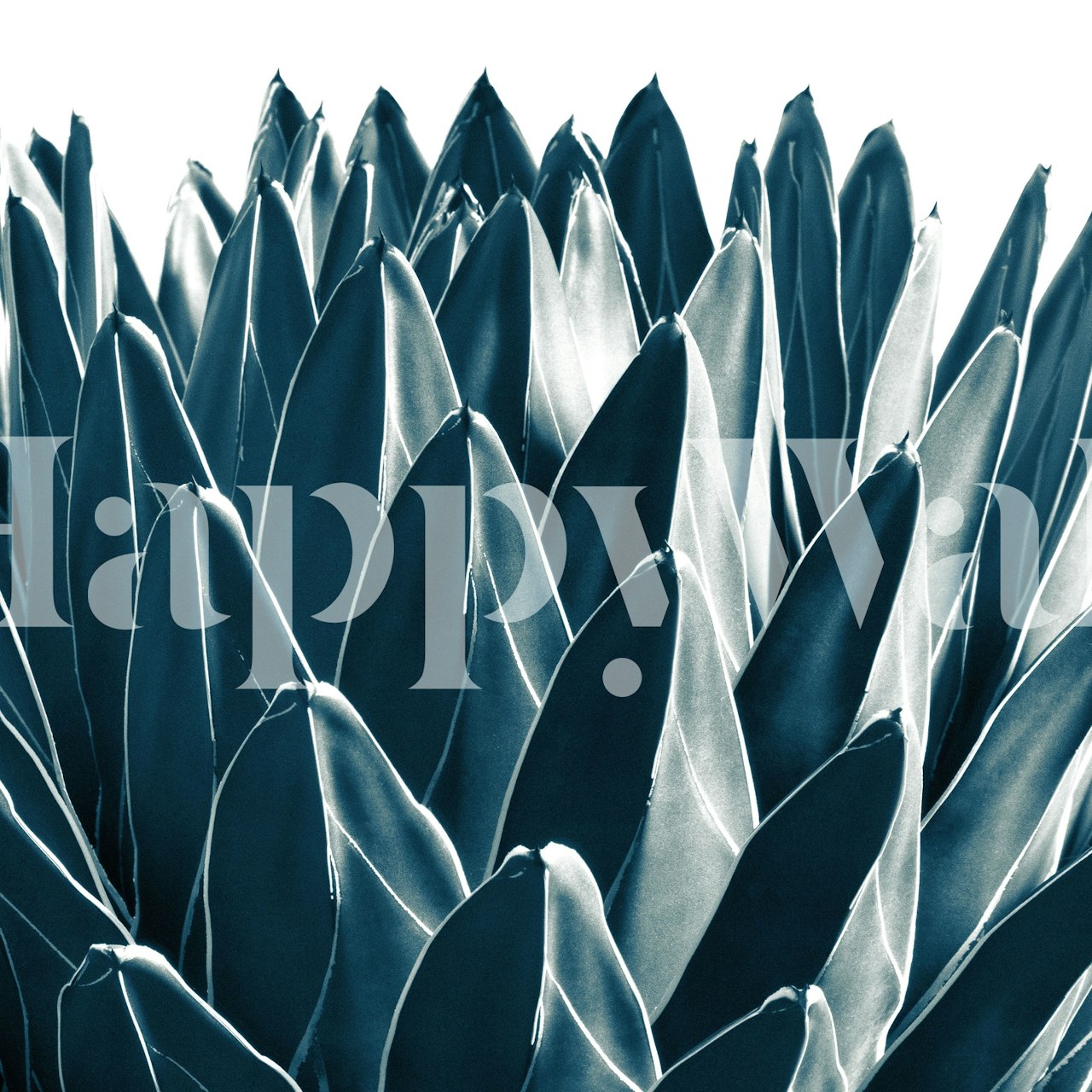 Monochromatische agave plantenbladeren muurschildering voor woondecoratie