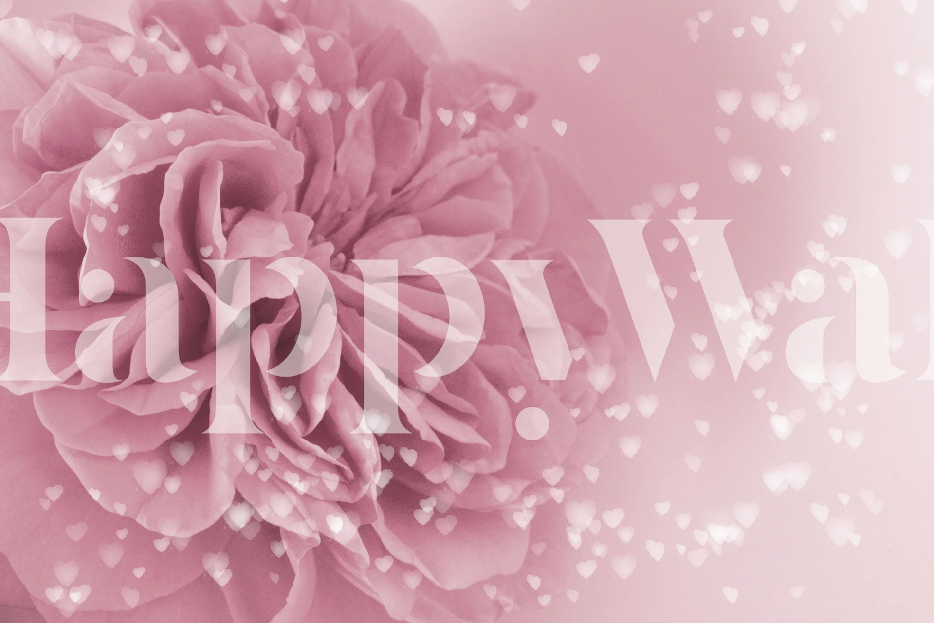 Elegant light pink rose surrounded by floating hearts wall mural