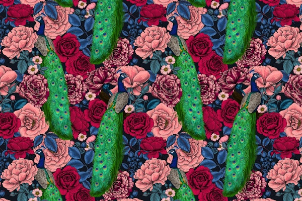 Peacocks in the rose garden