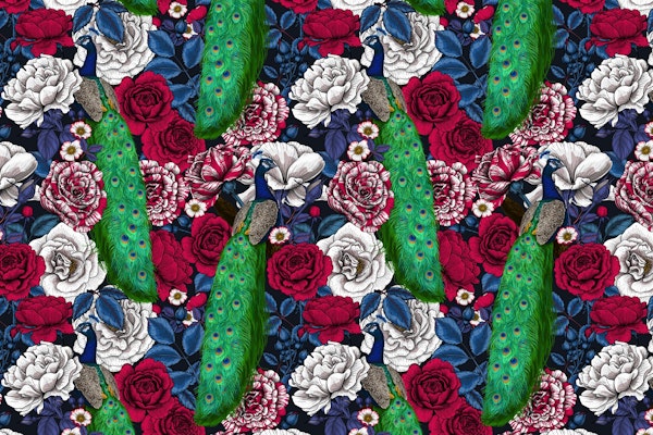 Peacocks in the rose garden 2