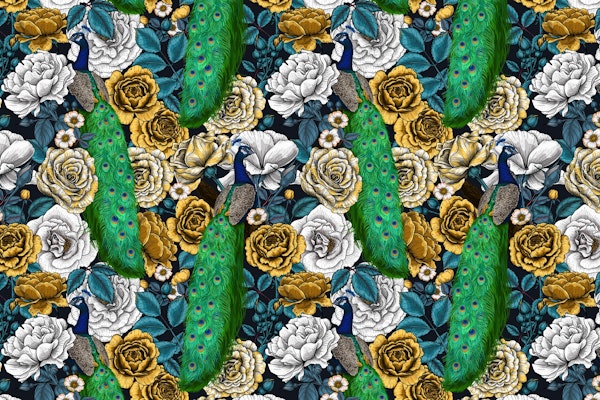 Peacocks in the rose garden 3