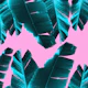 Banana Leaves Tropical Vibes 3