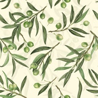 Olive branches watercolor on off white ταπετσαρία