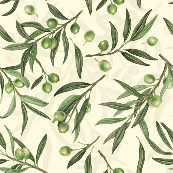 Olive branches watercolor on off white