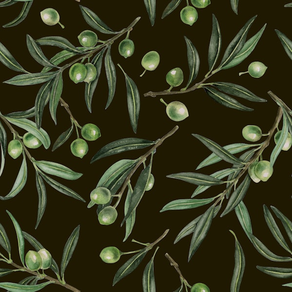Olive branches watercolor on black