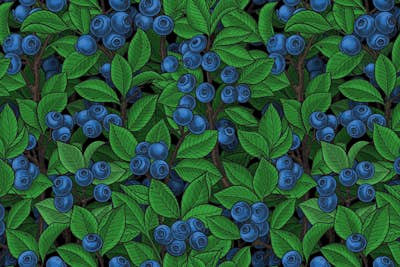 Τοιχογραφία