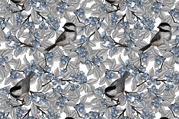 birds on blueberry branches