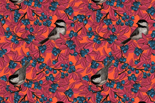 birds on blueberry branches 2