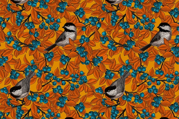 birds on blueberry branches 3