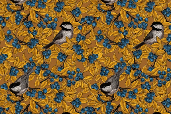 birds on blueberry branches 4