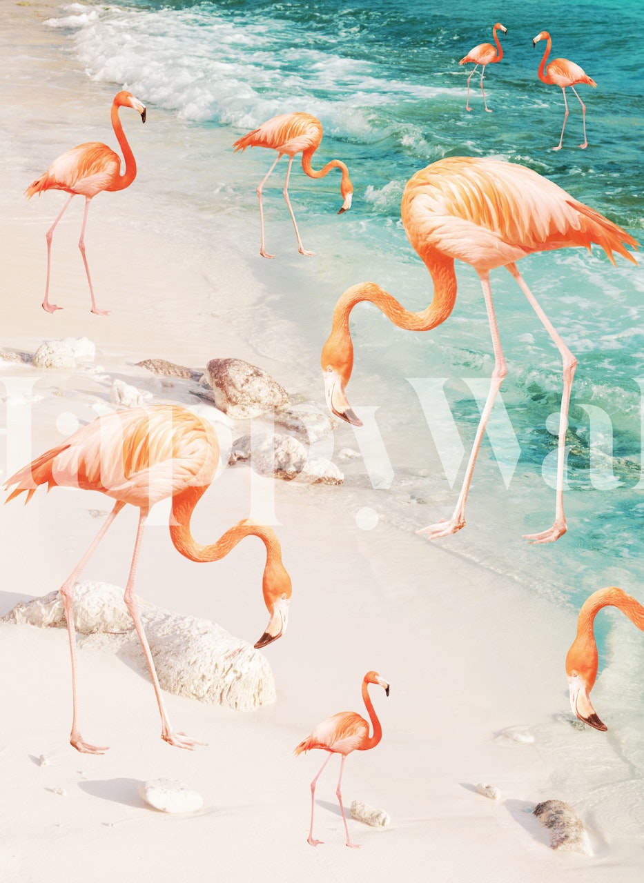 Pink flamingos on a beach next to turquoise water wallpaper