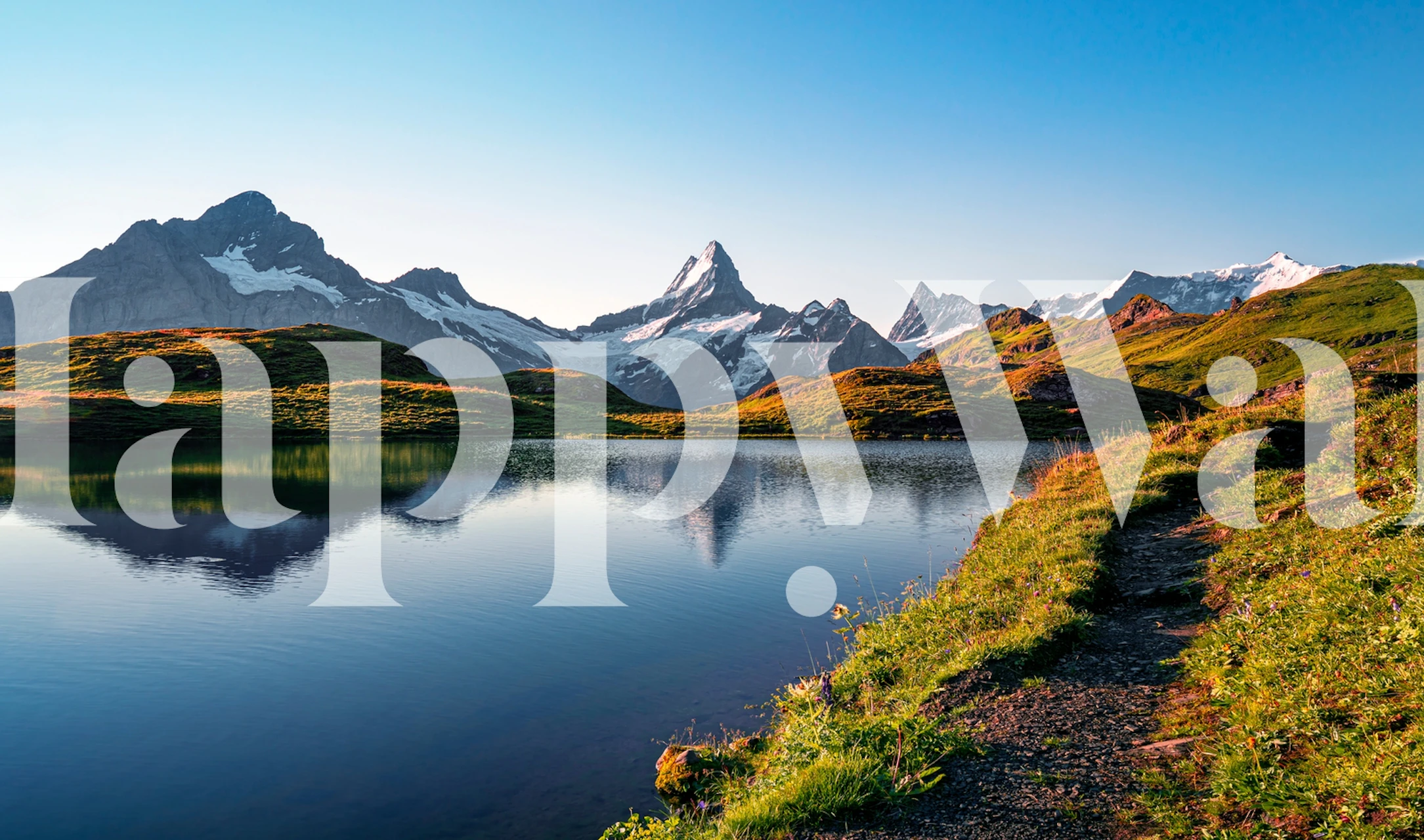 Bachalpsee Lake wallpaper in a room