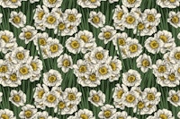 Daffodils tapet