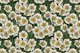 Daffodils