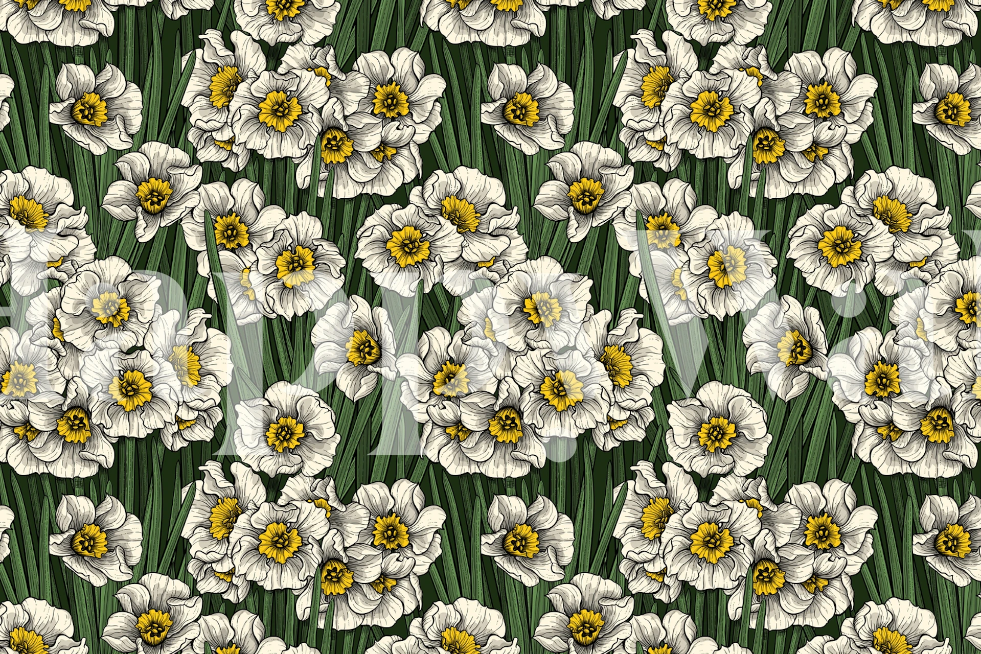 Daffodil flowers in white and yellow on green wallpaper