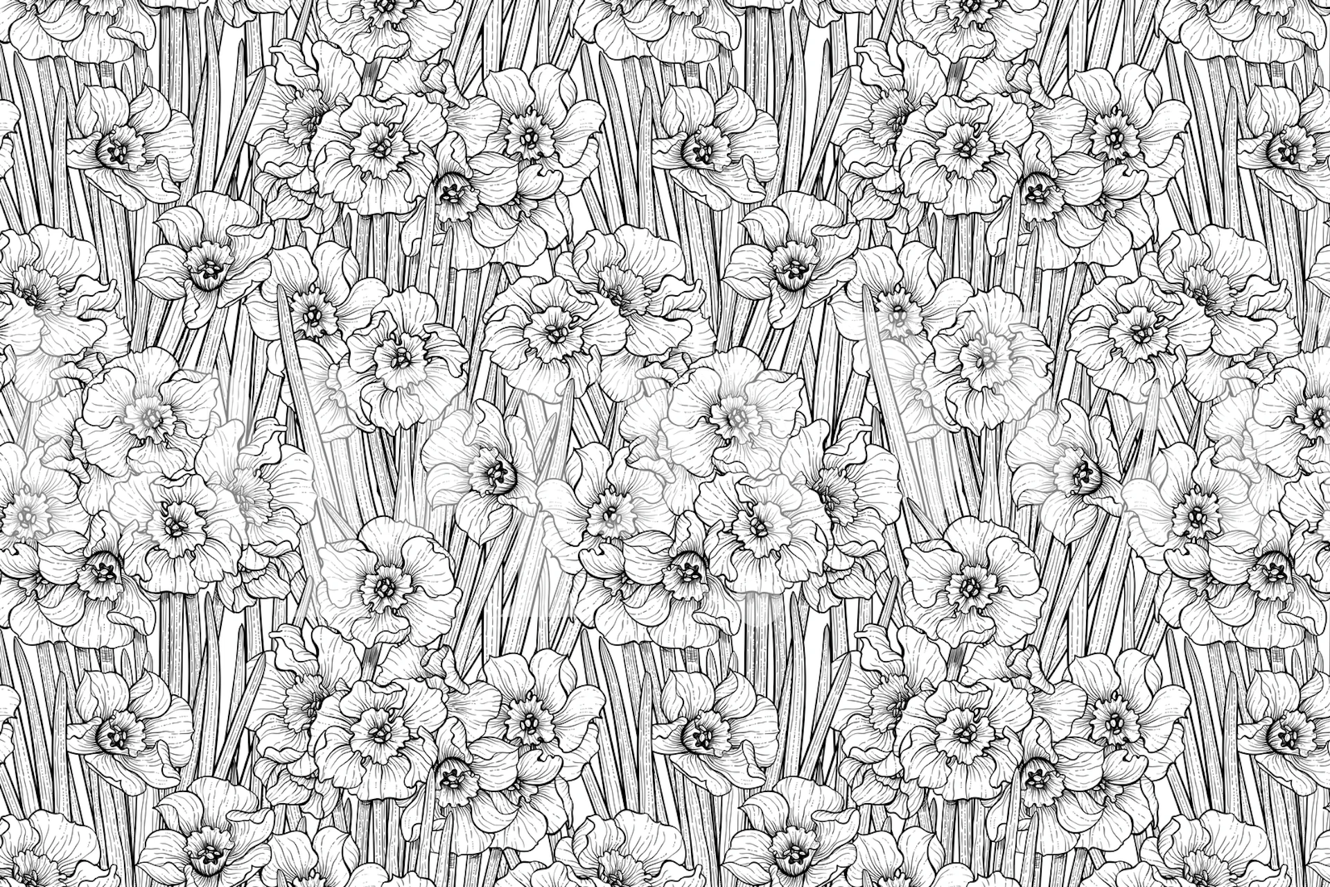 Czarno-biała fototapeta z wzorem żonkili