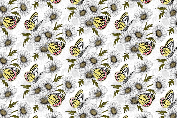 Butterflies and daisy flowers