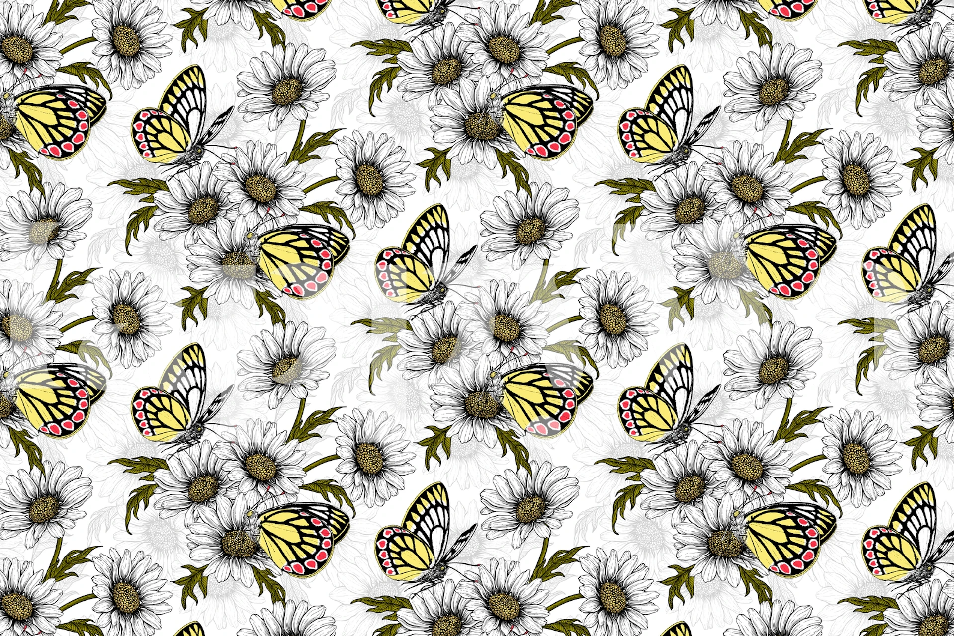 Butterflies and daisy flowers wallpaper in a room