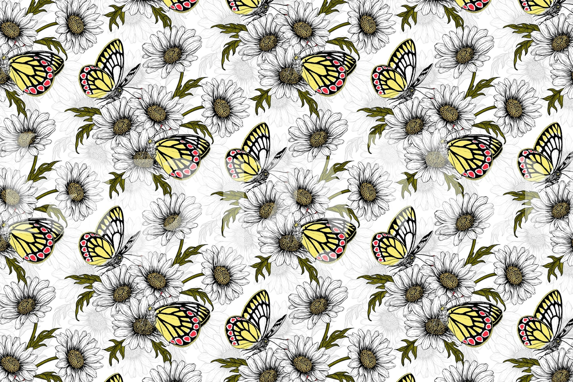 Butterflies and daisy flowers wallpaper in a room