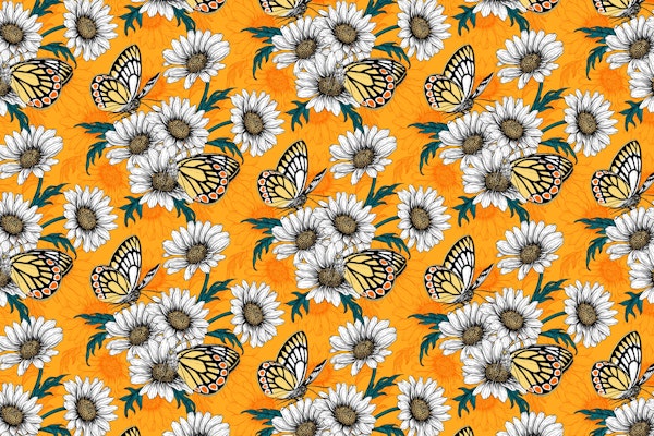 Butterflies and daisy flowers2