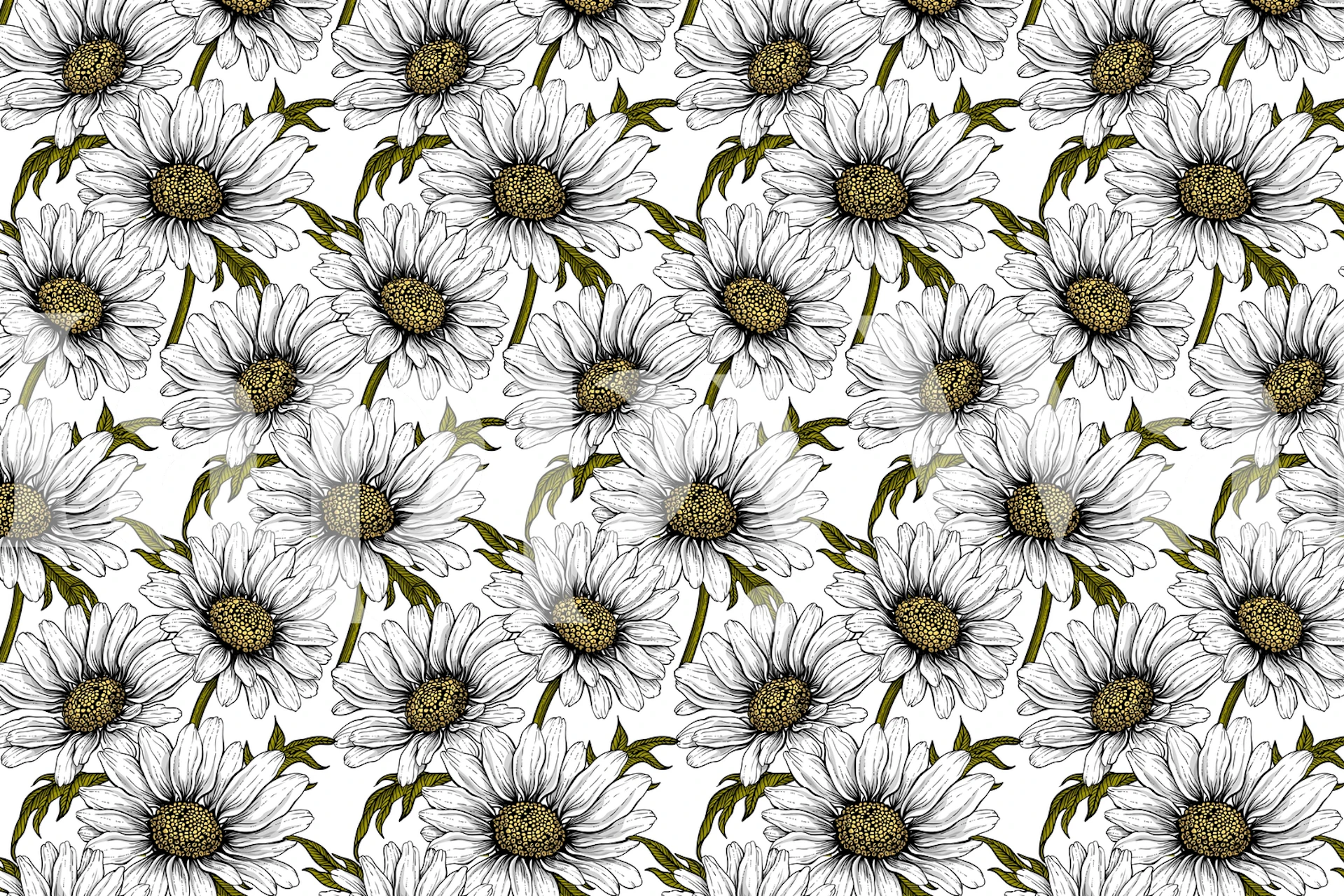 Daisies 1 wallpaper displayed in a room