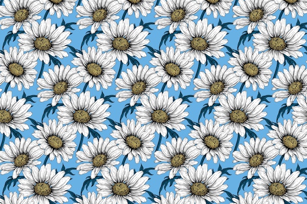 Daisies on blue 2