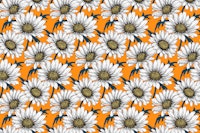 Daisies on orange 3 wallpaper