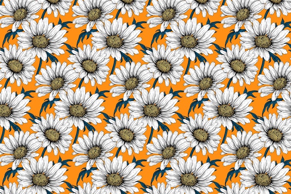 Daisies on orange 3