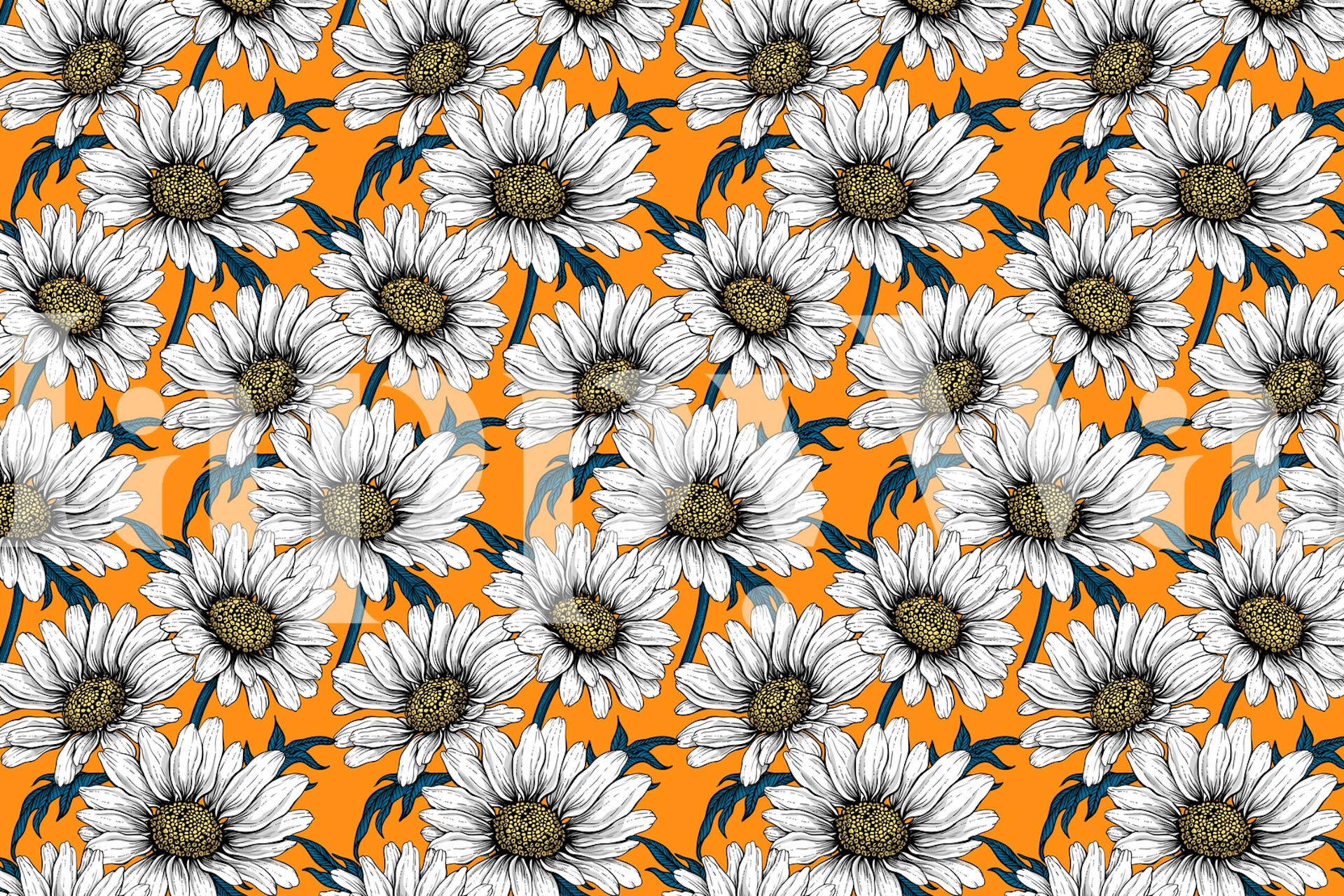 Daisies wallpaper på oransje bakgrunn
