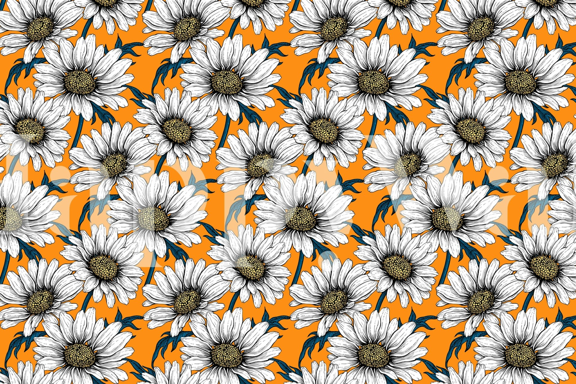 Daisies wallpaper on orange background