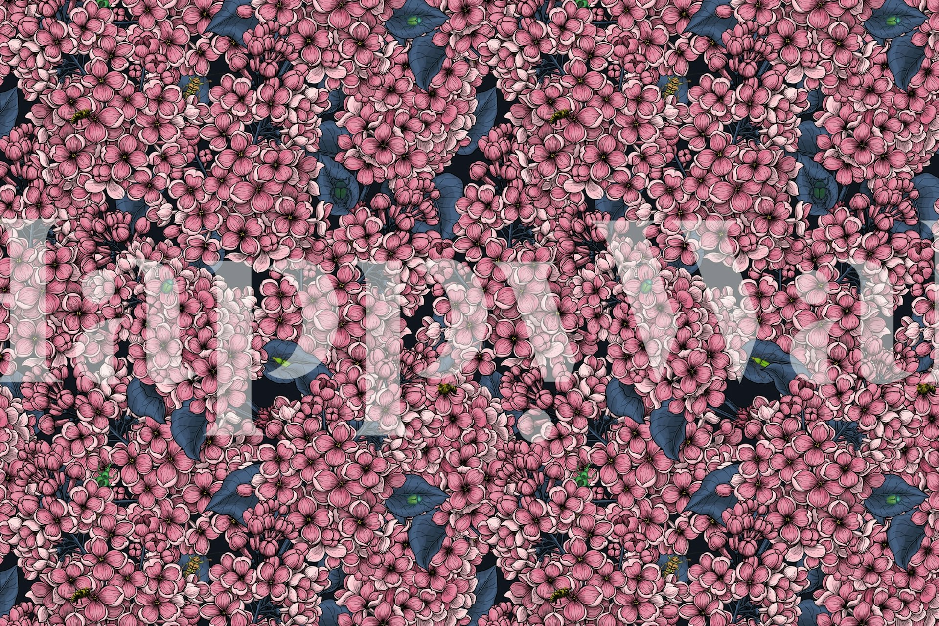 Vibrant pink lilac flowers on dark background wallpaper