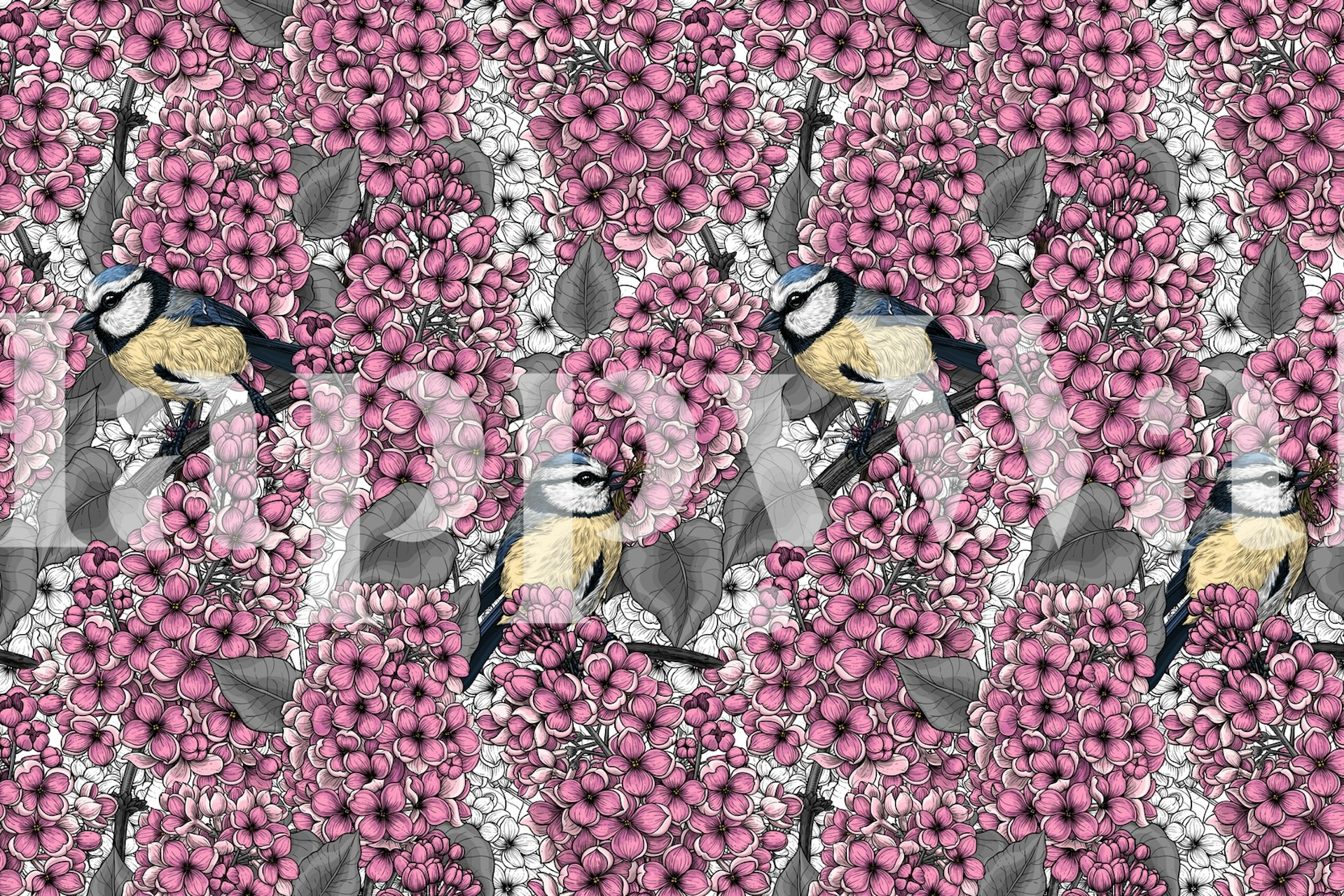 Tit birds mezi květinami šeříku tapeta