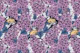 Tit birds in the lilac garden3
