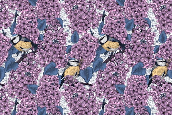 Tit birds in the lilac garden3