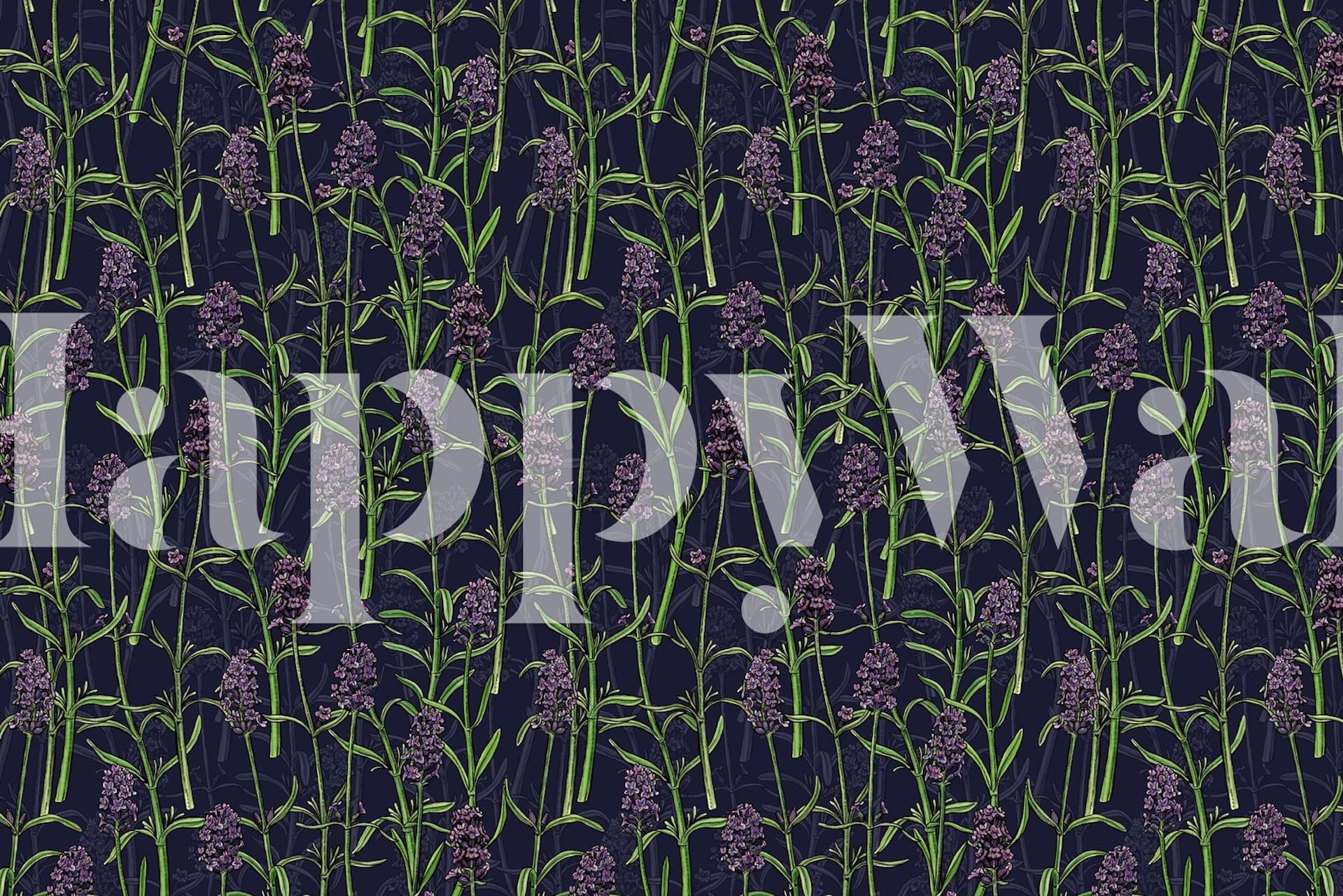 Lawendowa fototapeta z ciemnym tłem i zielonymi akcentami