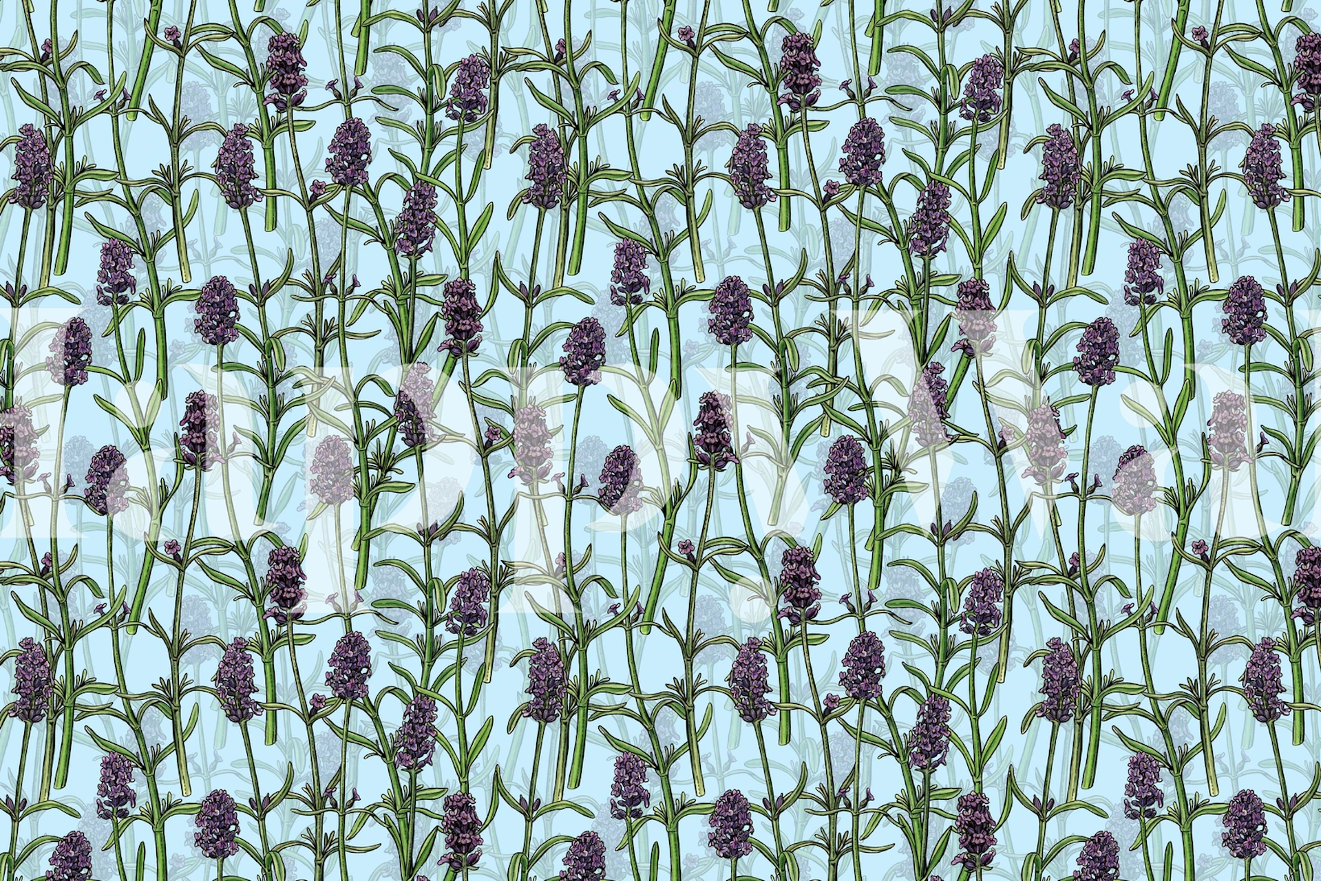 Lavender flowers on blue background floral wallpaper