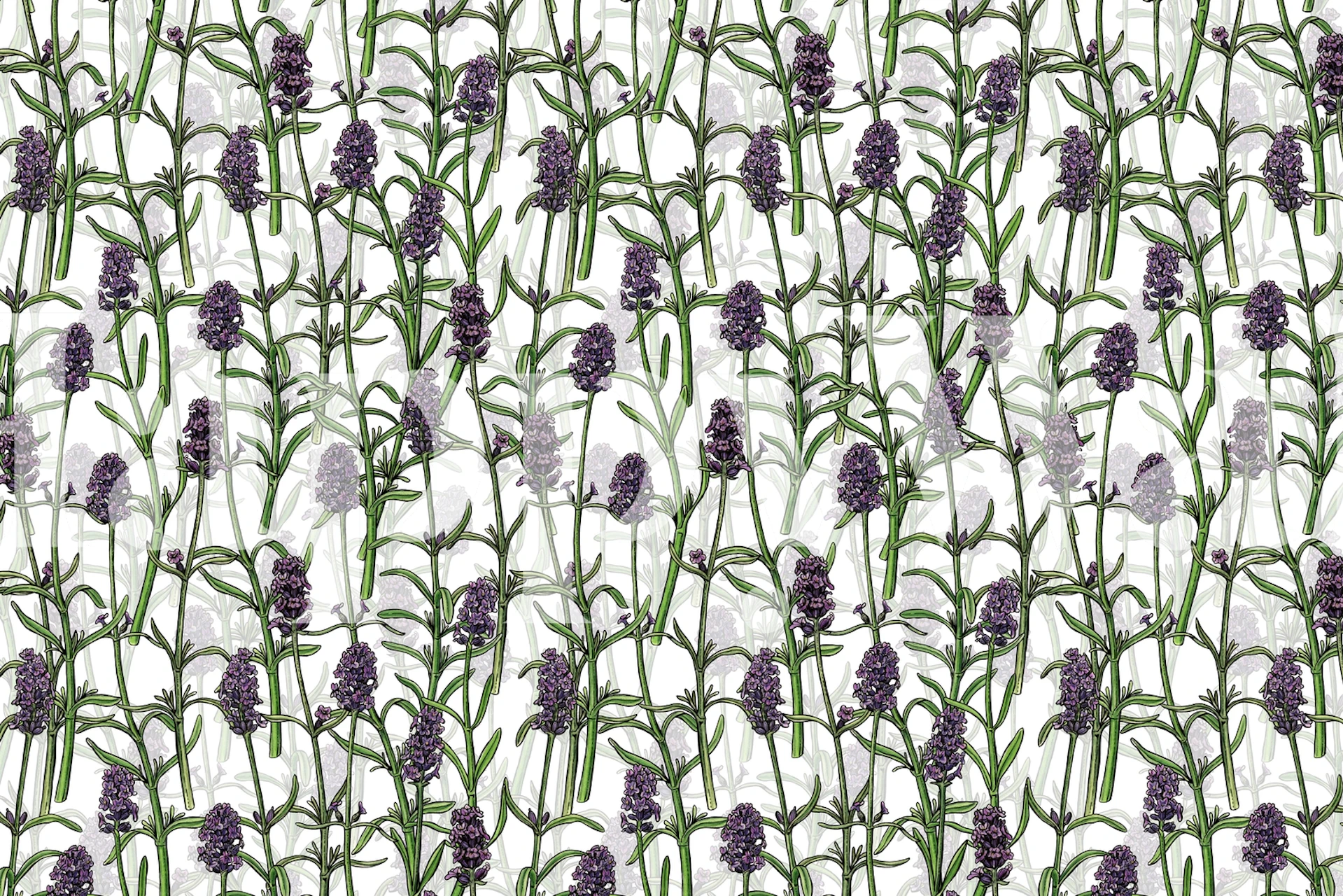 Lavender 3 wallpaper in a room setting