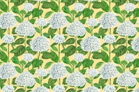 White hydrangea watercolor1 tapete