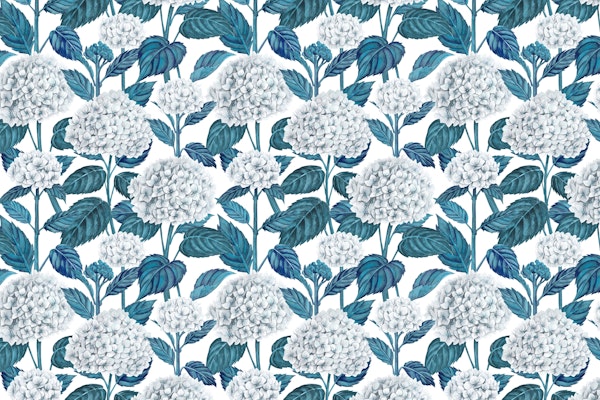 White hydrangea watercolor 2