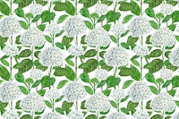 White hydrangea watercolor 3 tapete