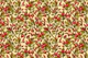 Rose hips 3
