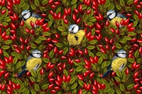 Birds and dog rose hips ταπετσαρία