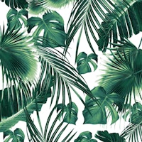 Tropical Jungle Leaves Dream 7 behang