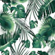 Tropical Jungle Leaves Dream 7