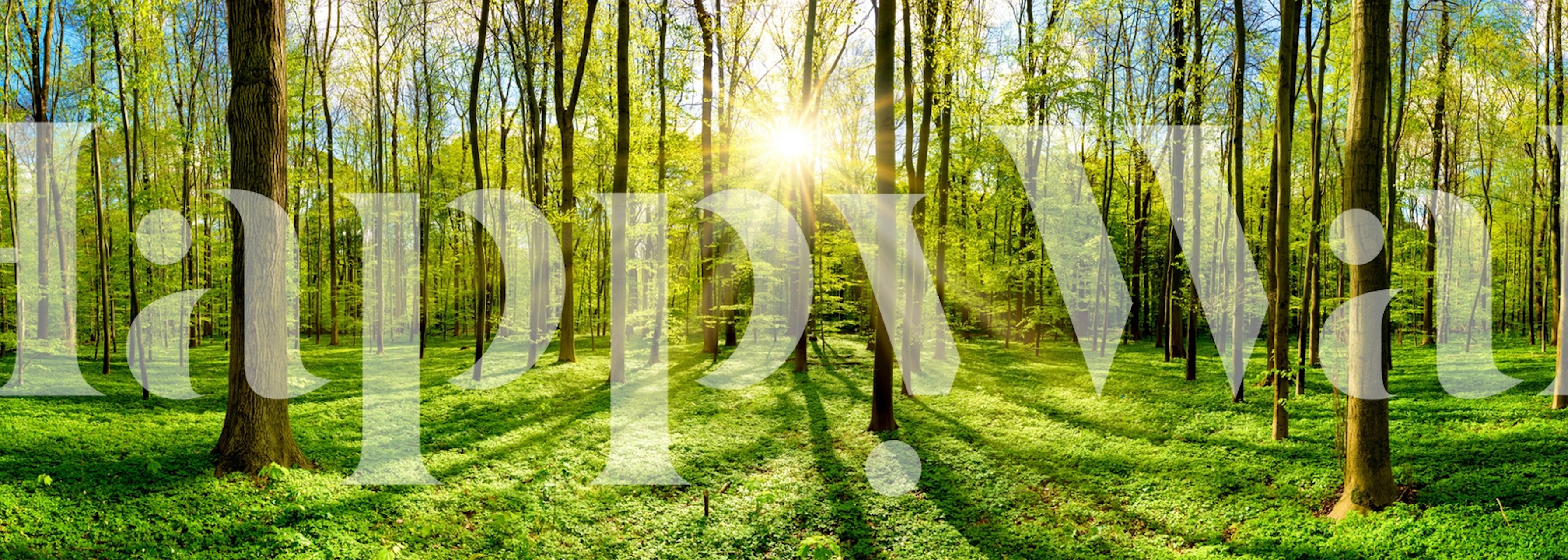 Sonnenbeschienener Frühlingswald-Wandteppich mit üppigen grünen Bäumen