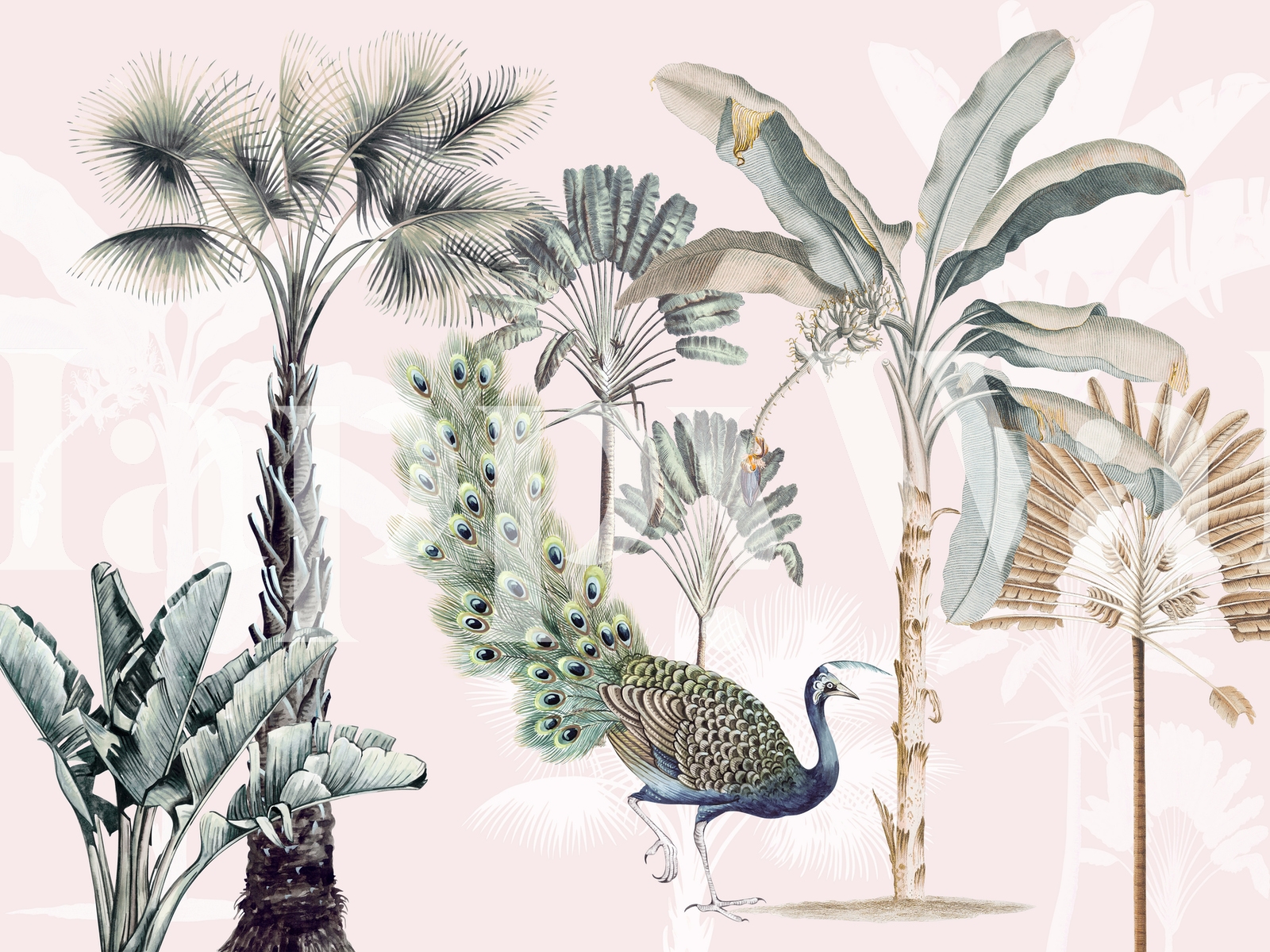 Pink Jungle Wallpaper